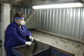 АО «Ветропак Гостомельский Стеклозавод»