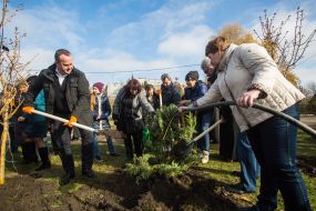 Аллея мира в Бахмуте