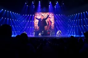 The show devoted to the 15th anniversary of the ballet "Freedom"