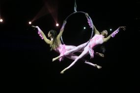 Circus Festival "Stars of the Future"