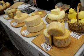 Different kinds of cheese