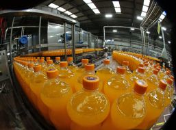 Bottles with carbonated drink "Fanta"