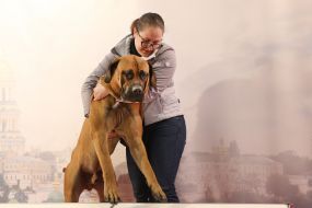 Выставка собак «Киевская Русь - 2017»