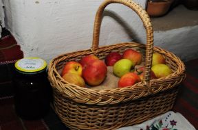Apples in the basket