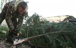 Подготовка елки к установке