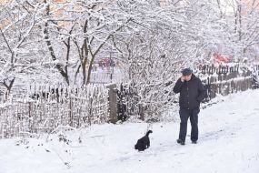 Snow in Lviv