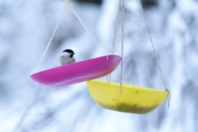 Bird feeders