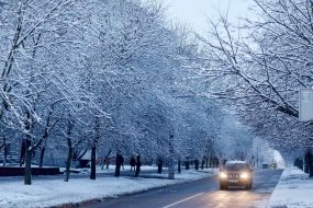 Snow in Lviv