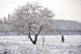 Snow in Lviv
