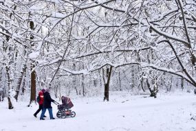 Snow in Lviv