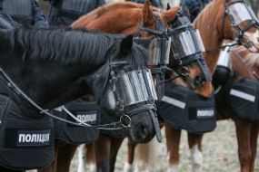 Equestrian police