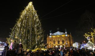 Новогодняя елка во Львове