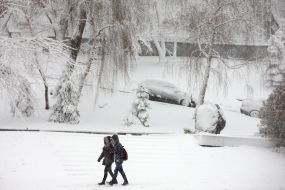 Snowfall in Kiev