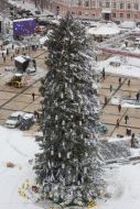 The main Christmas tree of Ukraine