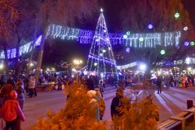 Opening of the main tree in Zaporozhye