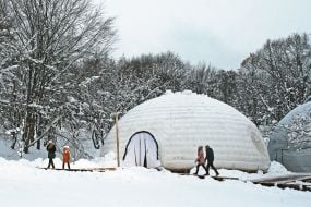 Winter house