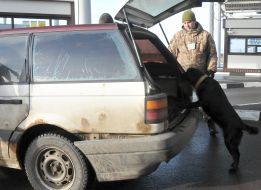 Пограничник проверяет машину