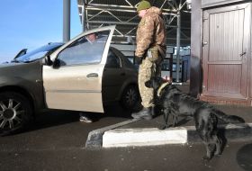 Пограничник проверяет машину