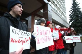 Акция зоозащитников под судом