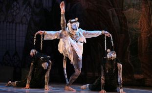 Балет «Лускунчик» ("Київ Модерн-Балет" Раду Поклітару)