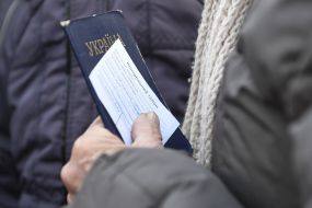 Passport and control ticket