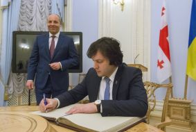 Андрій Парубій та Іраклій Кобахідзе