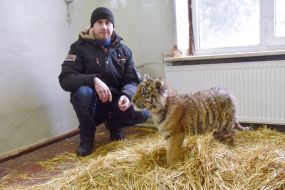 Віталій Бокий