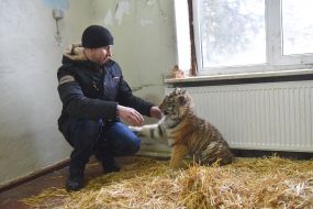 Віталій Бокий