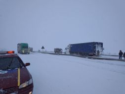 Фури на трасі Одеса-Київ