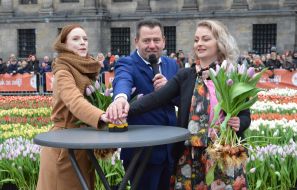 National Tulip Day in Amsterdam