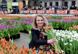National Tulip Day in Amsterdam 