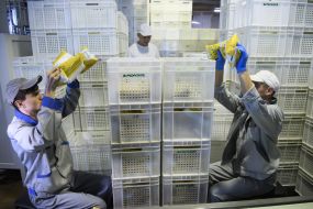 Warehouse employees pack products