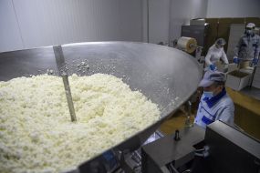 Shop for the production of cottage cheese