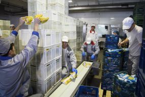 Warehouse employees pack products