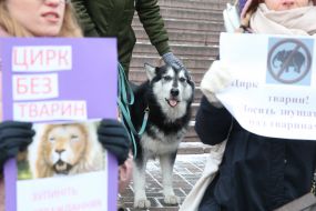 Акция против использования животных в цирковых представлениях