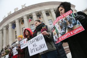 Акция против использования животных в цирковых представлениях