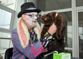 Судья оценивает кота