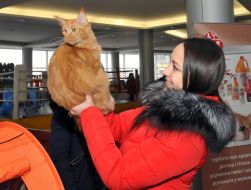 Девушка держит кота