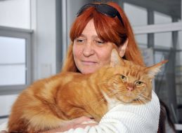 Кот мейн-кун и его хозяйка