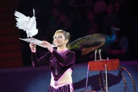 Номер с голубем