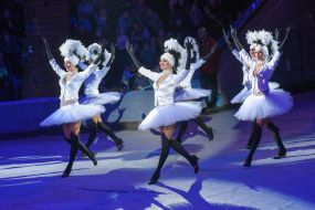 Артисты цирка