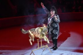 Цирковая премьера «В мире цирковых животных»