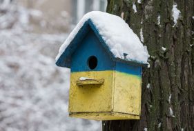 Painted in a yellow-blue birdhouse