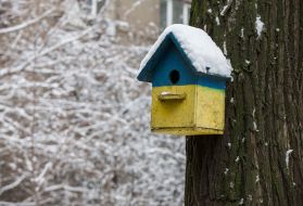 Painted in a yellow-blue birdhouse
