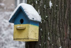 Painted in a yellow-blue birdhouse