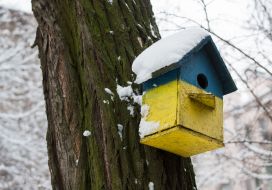 Painted in a yellow-blue birdhouse