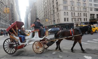 Walk in the carriage