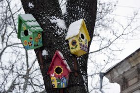 Feeders on a tree
