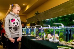 The girl is considering miniature aquariums