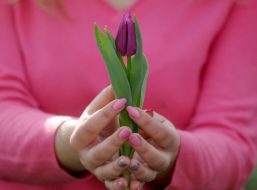A girl is holding a tulip